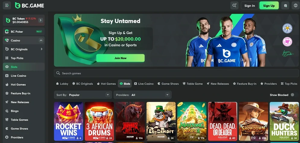 BC.Game Casino Screenshot