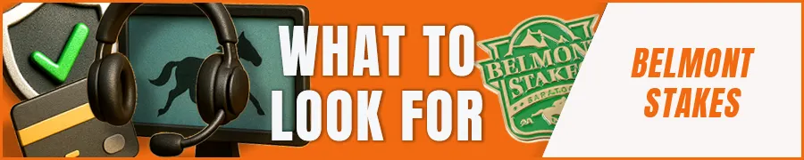 What to Look for in a Trusted Horse Racing Site