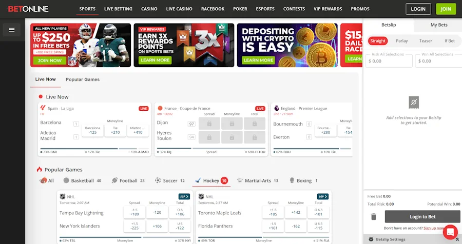 BetOnline – Best for beginners