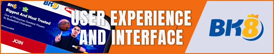 User Experience and Interface Analysis