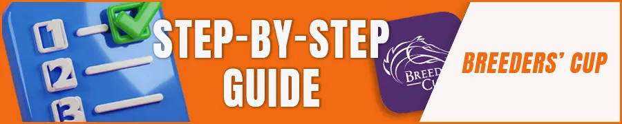 Step-by-Step Guide to Placing a Bet