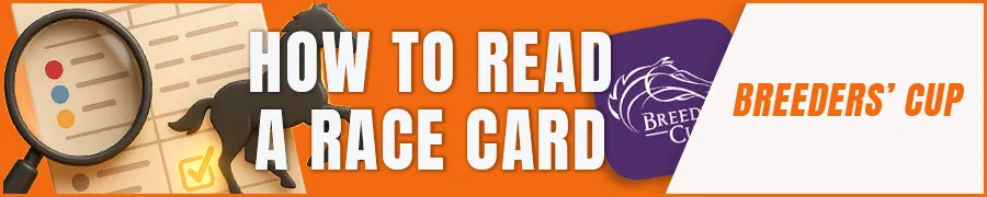 How to Read a Race Card and Pick a Horse
