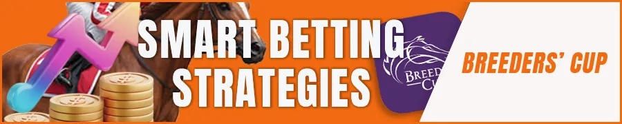 Smart Betting Strategies for First-Timers