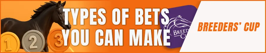 Types of Bets You Can Make