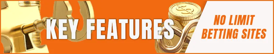 Key Features to Look for in No Limit