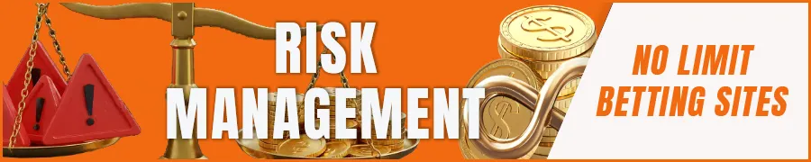 Risk Management for High-Stakes Bettors