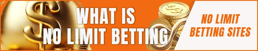 What is No Limit Sports Betting