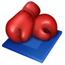 Boxing Bets Online